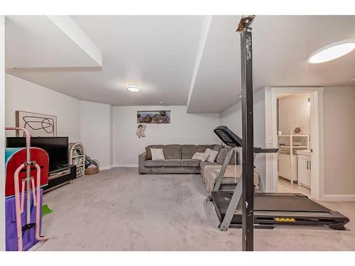 4 Saddlebrook Circle Ne, Calgary, AB - Indoor Photo Showing Gym Room