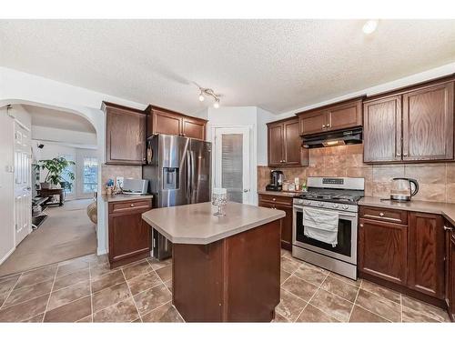 4 Saddlebrook Circle Ne, Calgary, AB - Indoor Photo Showing Kitchen With Double Sink