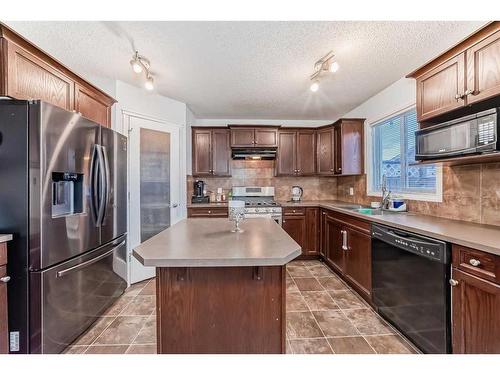 4 Saddlebrook Circle Ne, Calgary, AB - Indoor Photo Showing Kitchen With Stainless Steel Kitchen With Double Sink