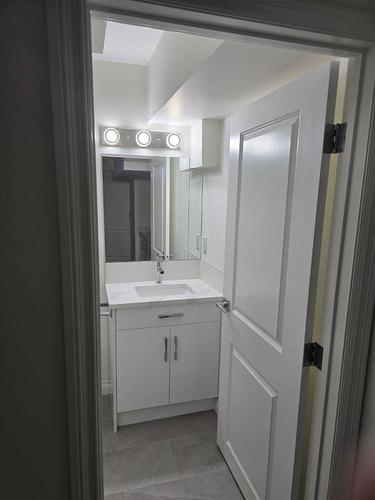 20 Cranridge Crescent Se, Calgary, AB - Indoor Photo Showing Bathroom