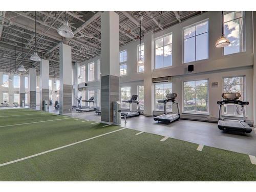 408-35 Inglewood Park Se, Calgary, AB - Indoor Photo Showing Gym Room