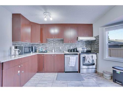 52 Martindale Close Ne, Calgary, AB - Indoor Photo Showing Kitchen With Upgraded Kitchen