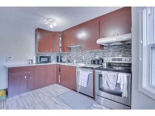 52 Martindale Close Ne, Calgary, AB - Indoor Photo Showing Kitchen With Upgraded Kitchen