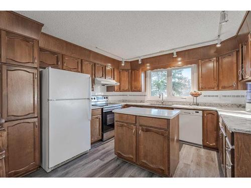 43 Edgewood Place Nw, Calgary, AB - Indoor Photo Showing Kitchen With Double Sink