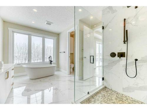 41 Farries Drive Se, Airdrie, AB - Indoor Photo Showing Bathroom