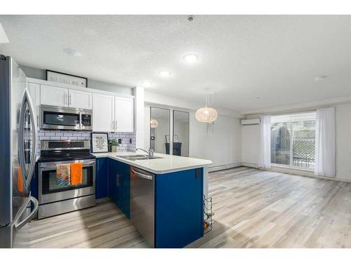 109-304 Cranberry Park Se, Calgary, AB - Indoor Photo Showing Kitchen With Double Sink