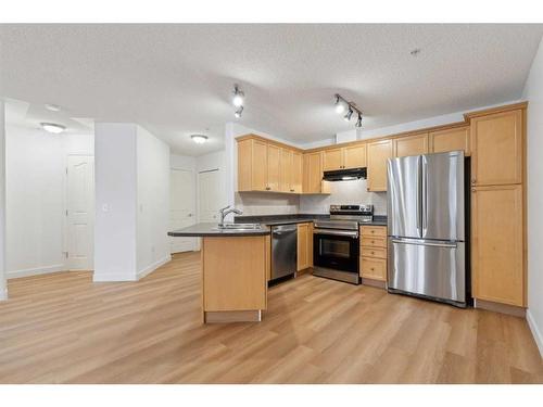 212-345 Rocky Vista Park Nw, Calgary, AB - Indoor Photo Showing Kitchen With Stainless Steel Kitchen