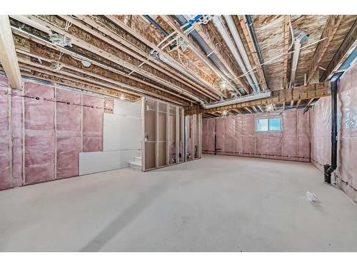 320 Homestead Grove Ne, Calgary, AB - Indoor Photo Showing Basement