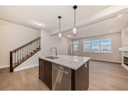 320 Homestead Grove Ne, Calgary, AB - Indoor Photo Showing Kitchen With Fireplace With Double Sink With Upgraded Kitchen