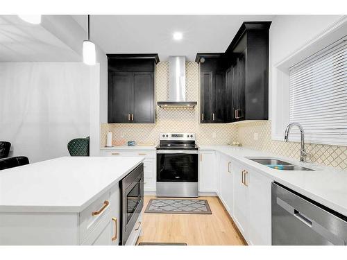 192 Homestead Drive Ne, Calgary, AB - Indoor Photo Showing Kitchen With Double Sink With Upgraded Kitchen