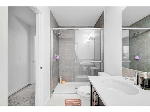 192 Homestead Drive Ne, Calgary, AB - Indoor Photo Showing Bathroom