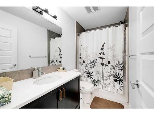 192 Homestead Drive Ne, Calgary, AB - Indoor Photo Showing Bathroom