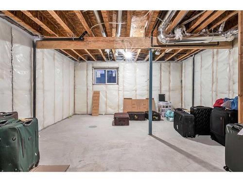 192 Homestead Drive Ne, Calgary, AB - Indoor Photo Showing Basement