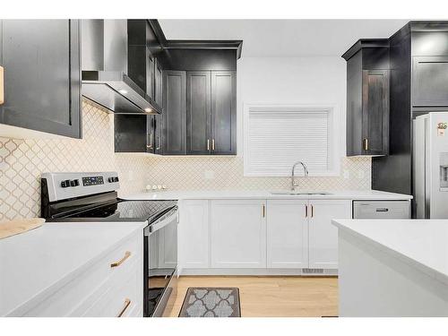 192 Homestead Drive Ne, Calgary, AB - Indoor Photo Showing Kitchen With Upgraded Kitchen