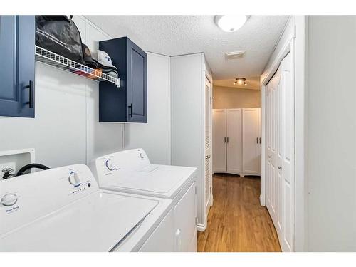 132 Mitchell Drive, Fort Mcmurray, AB - Indoor Photo Showing Laundry Room