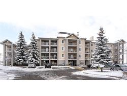 4214-1620 70 Street SE Calgary, AB T2A 7Y6