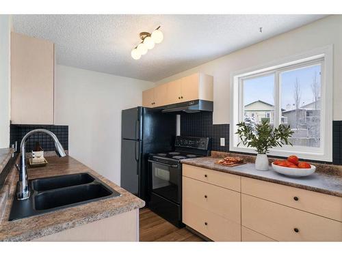 4214-1620 70 Street Se, Calgary, AB - Indoor Photo Showing Kitchen With Double Sink