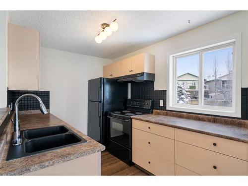 4214-1620 70 Street Se, Calgary, AB - Indoor Photo Showing Kitchen With Double Sink