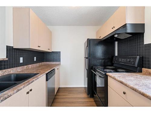 4214-1620 70 Street Se, Calgary, AB - Indoor Photo Showing Kitchen With Double Sink