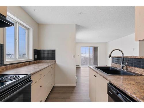 4214-1620 70 Street Se, Calgary, AB - Indoor Photo Showing Kitchen With Double Sink