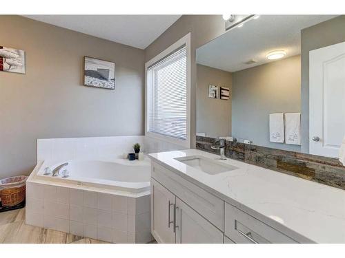 42 Royal Birch Terrace Nw, Calgary, AB - Indoor Photo Showing Bathroom