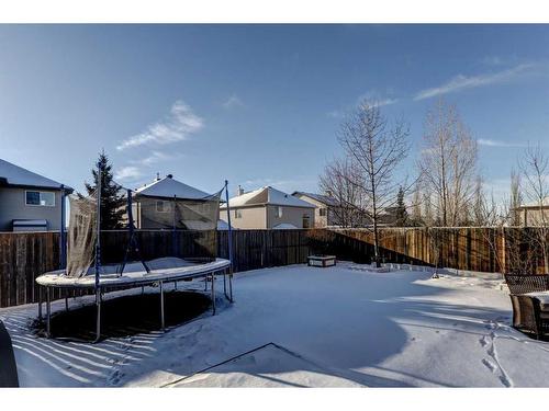 42 Royal Birch Terrace Nw, Calgary, AB - Outdoor