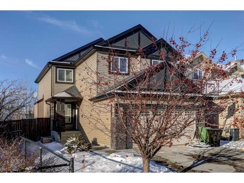 42 Royal Birch Terrace Nw, Calgary, AB - Outdoor