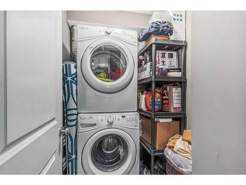 5305-302 Skyview Ranch Drive Ne, Calgary, AB - Indoor Photo Showing Laundry Room