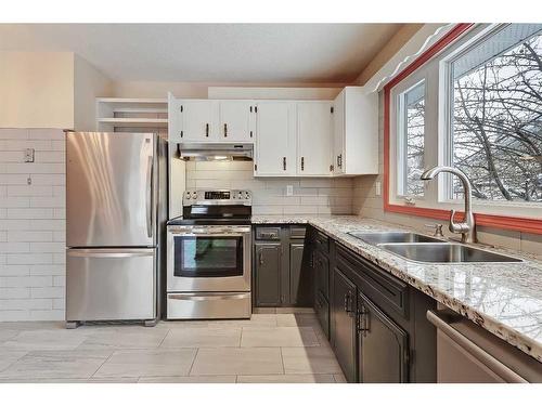 9927 5 Street Se, Calgary, AB - Indoor Photo Showing Kitchen With Double Sink