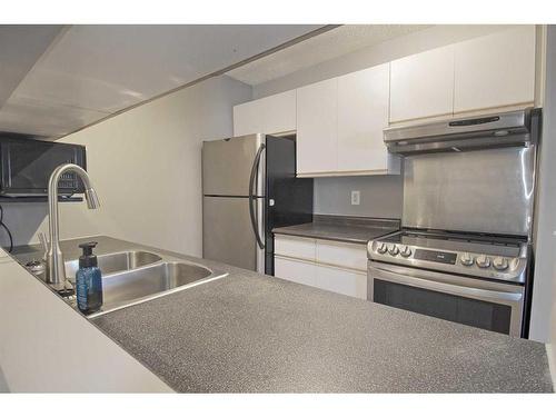 216-20 Dover Point Se, Calgary, AB - Indoor Photo Showing Kitchen With Stainless Steel Kitchen With Double Sink