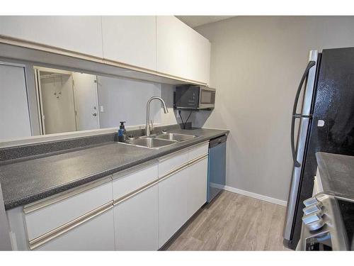 216-20 Dover Point Se, Calgary, AB - Indoor Photo Showing Kitchen With Double Sink