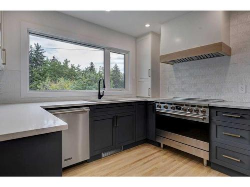 10632 Waneta Crescent Se, Calgary, AB - Indoor Photo Showing Kitchen With Upgraded Kitchen