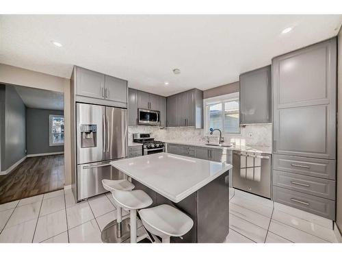 79 Castleglen Way Ne, Calgary, AB - Indoor Photo Showing Kitchen With Stainless Steel Kitchen With Upgraded Kitchen