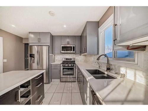 79 Castleglen Way Ne, Calgary, AB - Indoor Photo Showing Kitchen With Stainless Steel Kitchen With Double Sink With Upgraded Kitchen