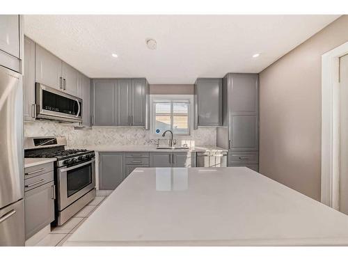 79 Castleglen Way Ne, Calgary, AB - Indoor Photo Showing Kitchen With Stainless Steel Kitchen With Upgraded Kitchen