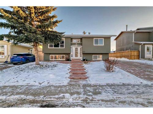 79 Castleglen Way Ne, Calgary, AB - Outdoor