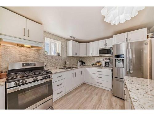 79 Castleglen Way Ne, Calgary, AB - Indoor Photo Showing Kitchen With Stainless Steel Kitchen With Double Sink With Upgraded Kitchen