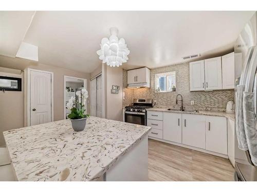 79 Castleglen Way Ne, Calgary, AB - Indoor Photo Showing Kitchen With Upgraded Kitchen