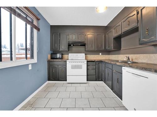 50 Pinelore Place Ne, Calgary, AB - Indoor Photo Showing Kitchen With Double Sink