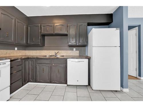 50 Pinelore Place Ne, Calgary, AB - Indoor Photo Showing Kitchen With Double Sink