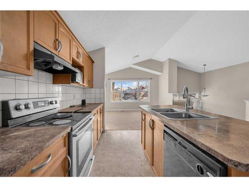 250 Martinwood Place Ne, Calgary, AB - Indoor Photo Showing Kitchen With Double Sink