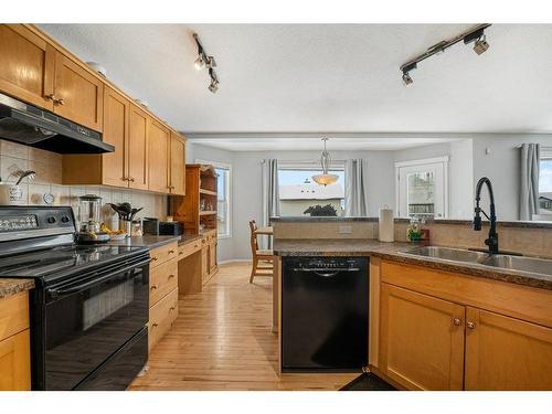 9 Royal Birch Close Nw, Calgary, AB - Indoor Photo Showing Kitchen With Double Sink