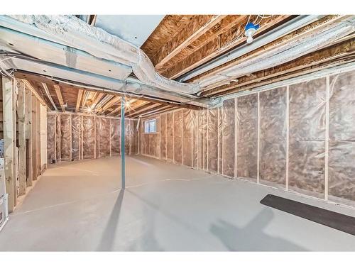 203 Carrington Circle Nw, Calgary, AB - Indoor Photo Showing Basement