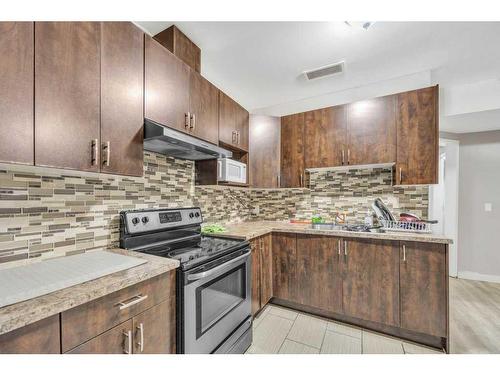 28 Saddlebrook Landing Ne, Calgary, AB - Indoor Photo Showing Kitchen With Stainless Steel Kitchen With Double Sink With Upgraded Kitchen