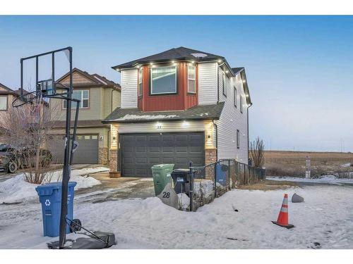 28 Saddlebrook Landing Ne, Calgary, AB - Outdoor