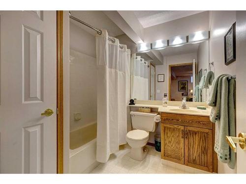 54 Douglasview Park Se, Calgary, AB - Indoor Photo Showing Bathroom