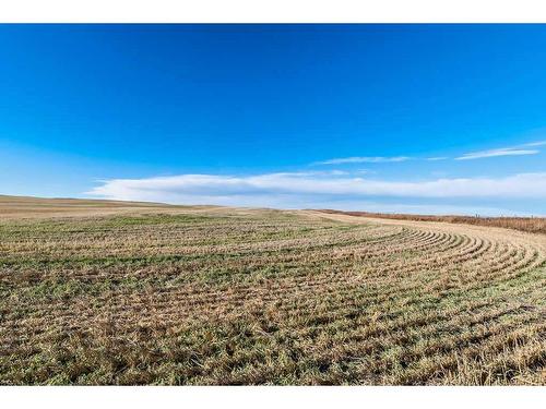 96 Street East (East Parcel 149.2 Acres), Rural Foothills County, AB 