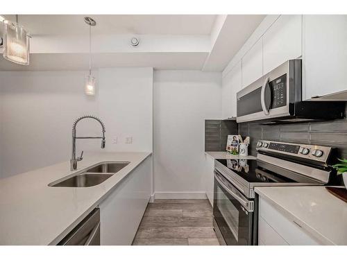 506-10060 46 Street Ne, Calgary, AB - Indoor Photo Showing Kitchen With Stainless Steel Kitchen With Double Sink