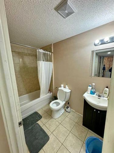 168 Saddlebrook Circle Ne, Calgary, AB - Indoor Photo Showing Bathroom