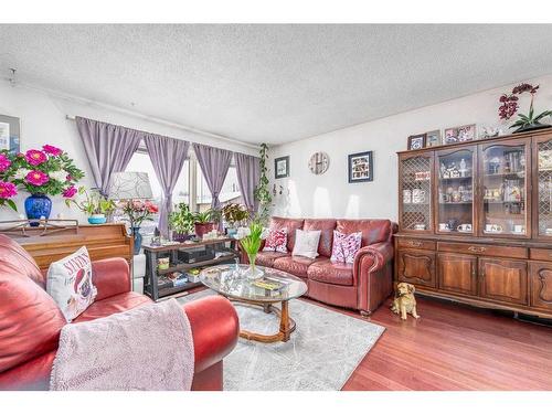 314 Olympia Crescent Se, Calgary, AB - Indoor Photo Showing Living Room